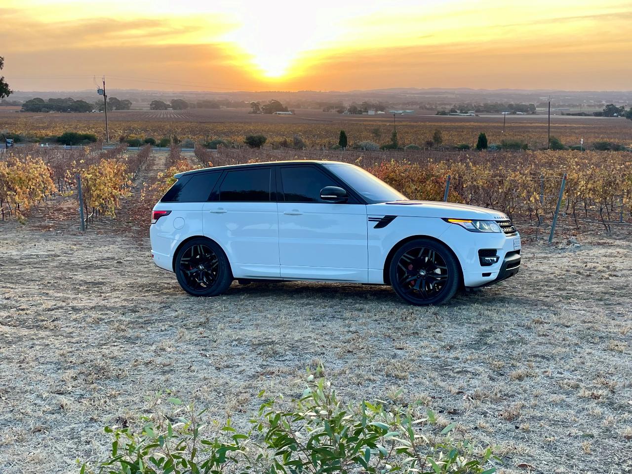 Taste & Graze Barossa in a Luxury Range Rover