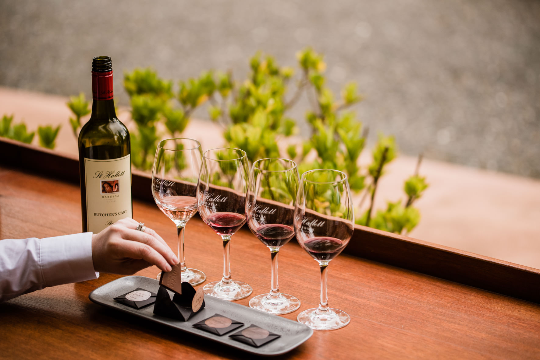 Chocolate and Wine Experience