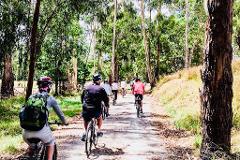 Yarra Valley Victoria | Cool Climate Food & Wine Region | Guided Bike Tour