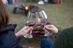 Firepit Wine Tasting and S'mores Experience