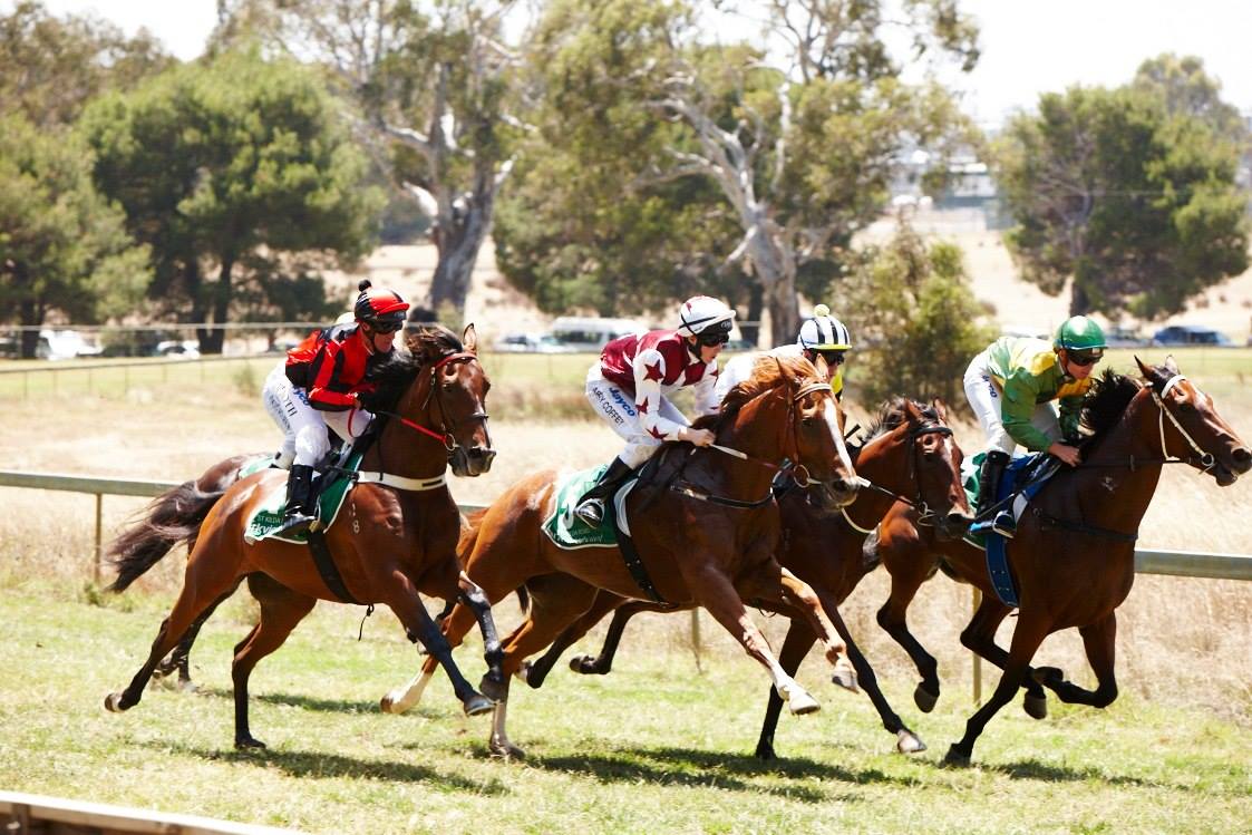 "A Day at the Races" Seppelt Great Western Cup - Seppelt VIP Enclosure