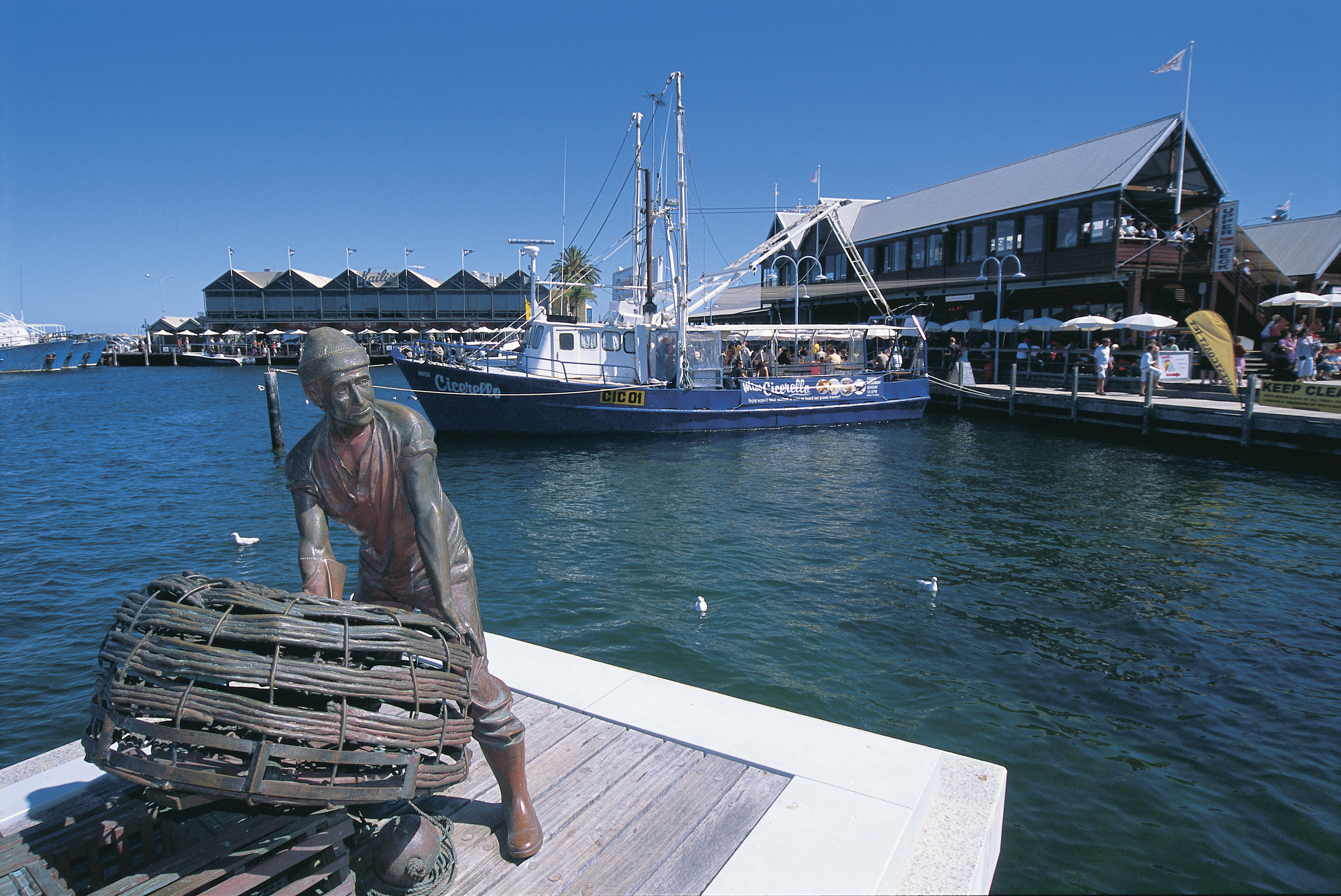Half Day Perth & Fremantle Highlights