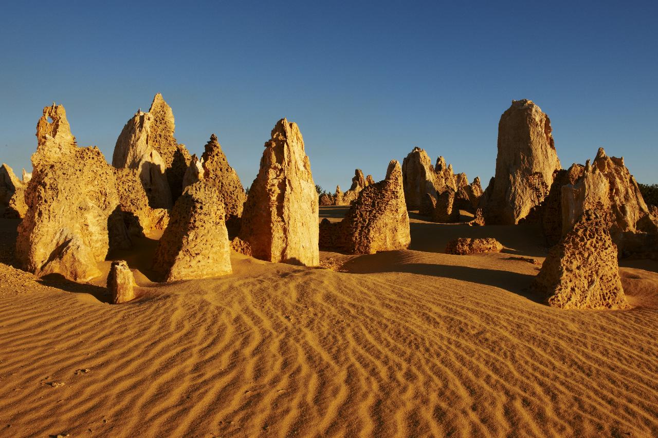 Pinnacles Desert Private Tour