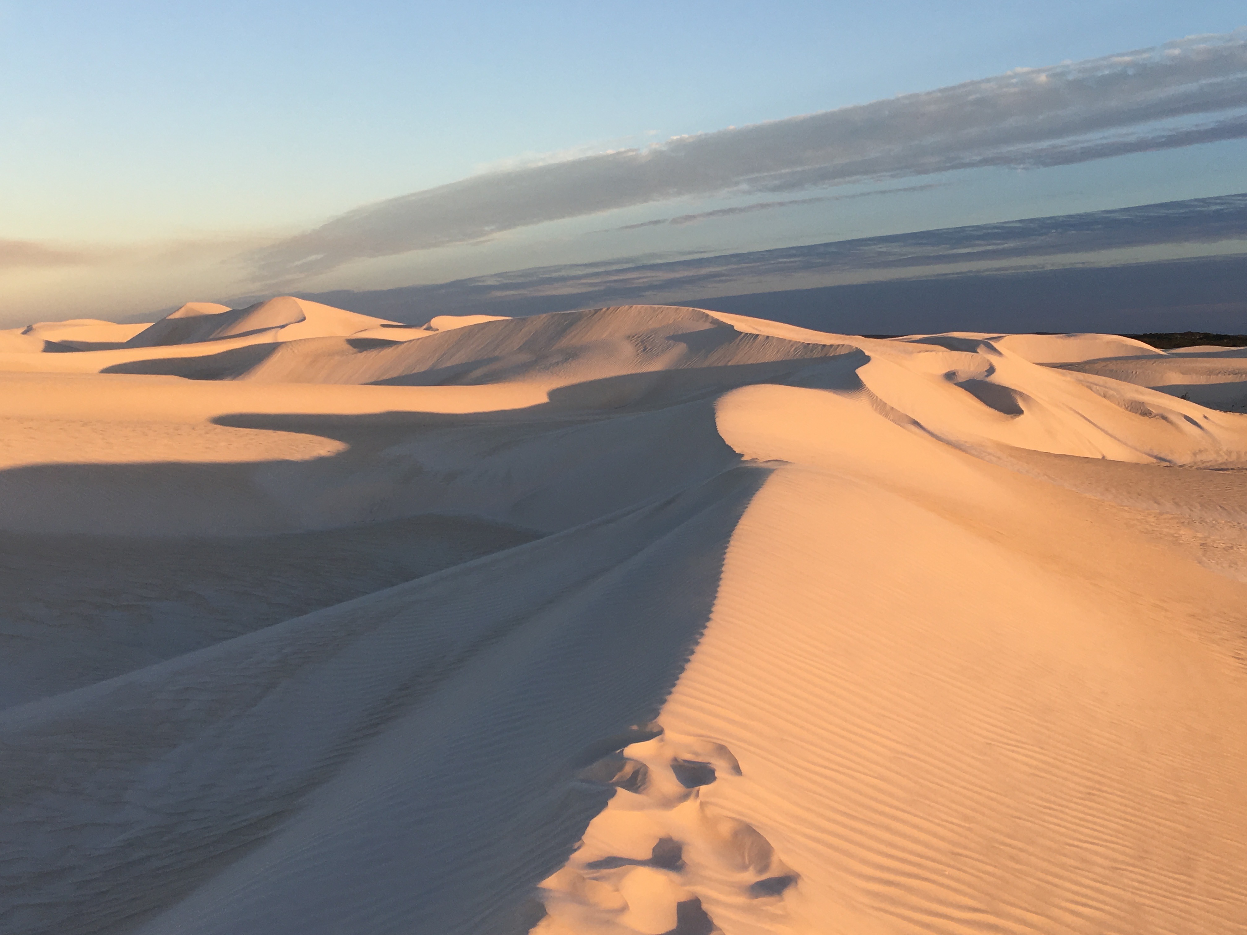 Pinnacles Desert PrivateTour