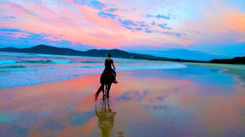 1.5 Hour Beach Ride