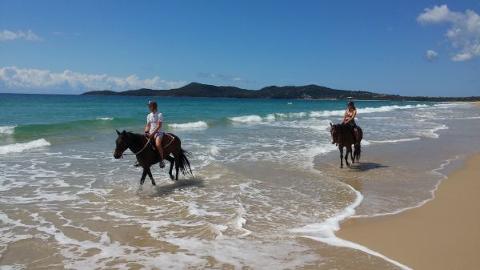 2 Hour Beach Ride