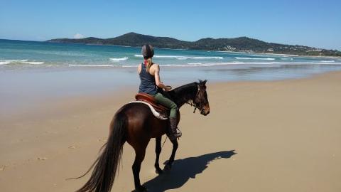 1 Hour Beach Ride