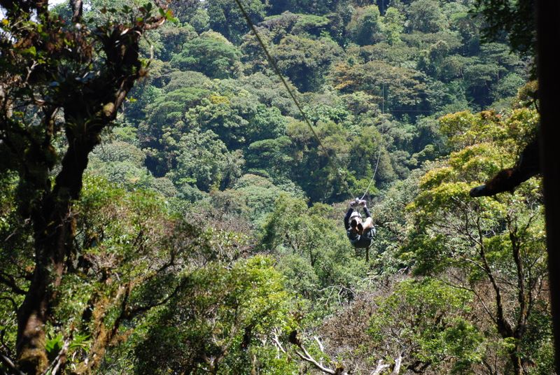 Monteverde COMBO tour: Selvatura Ziplines + Self-guided Hanging Bridges