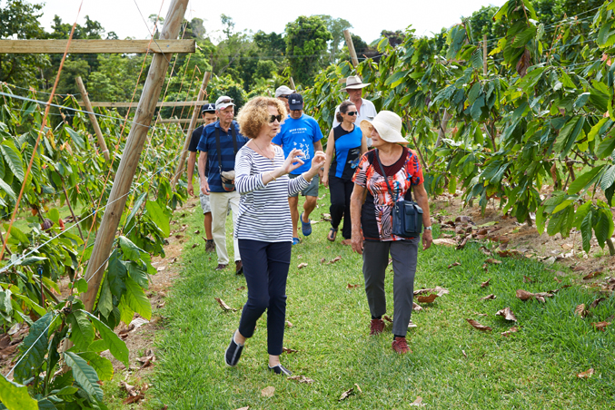 Charley's Chocolate Tour