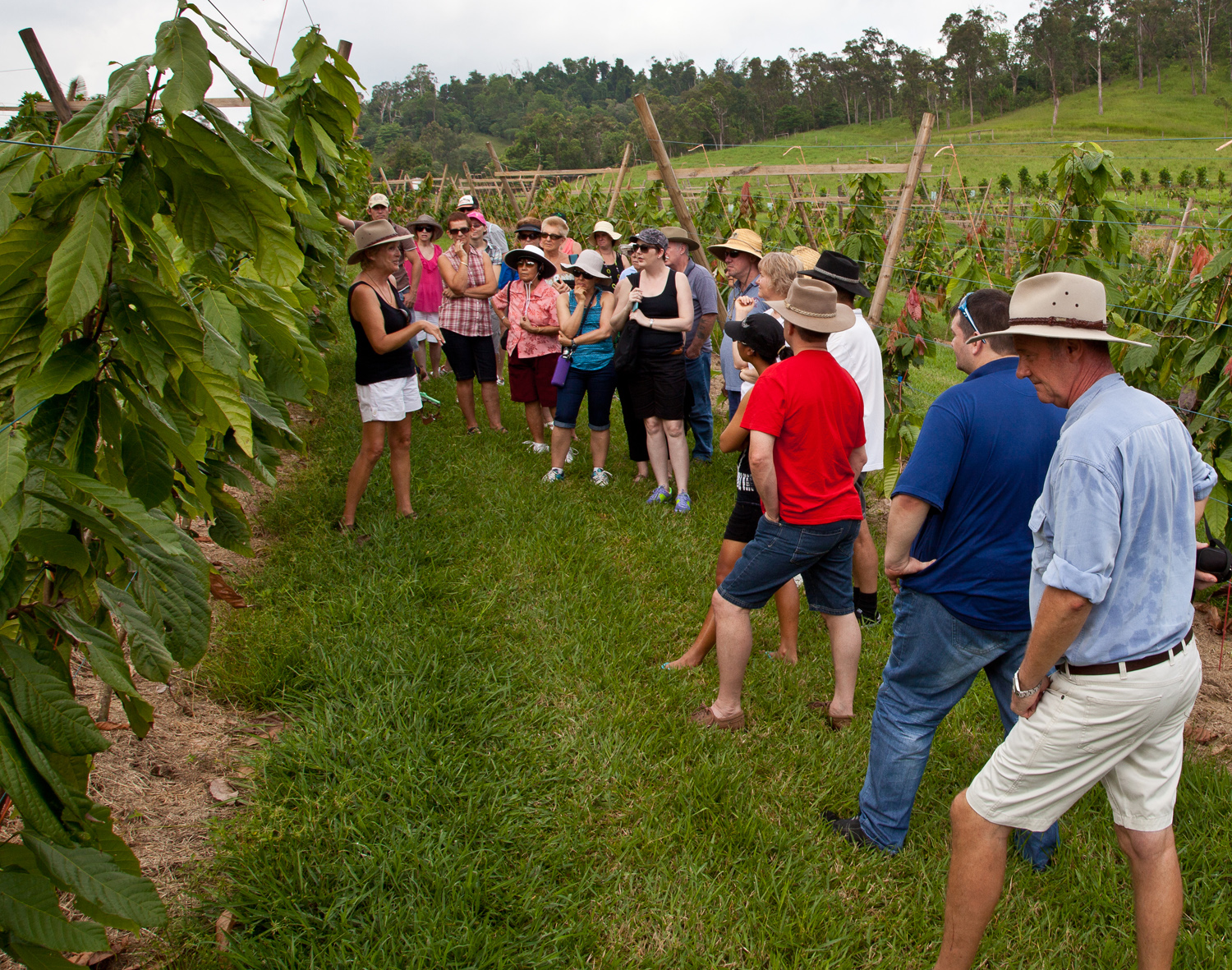 Charley's Chocolate Tour
