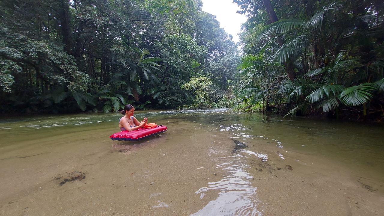 Rainforest River Drift