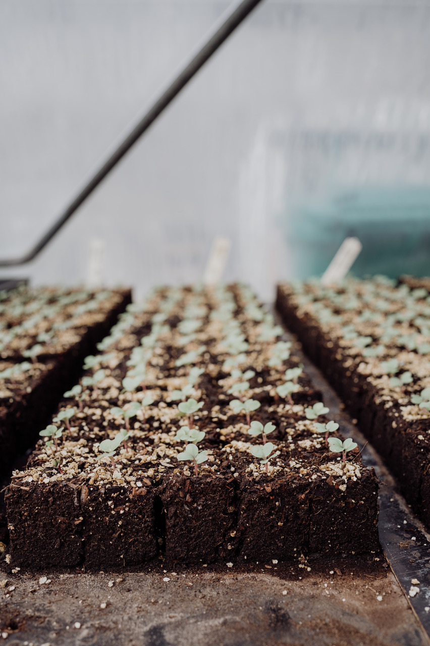 How-To: Propagation