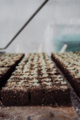 How-To: Propagation