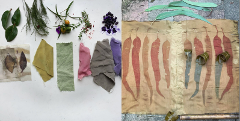 Natural Dyes with Samorn Sanixay