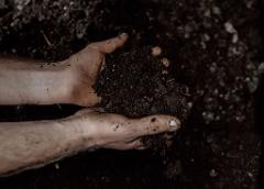 Feed Your Soil: Composting Soil Amendments