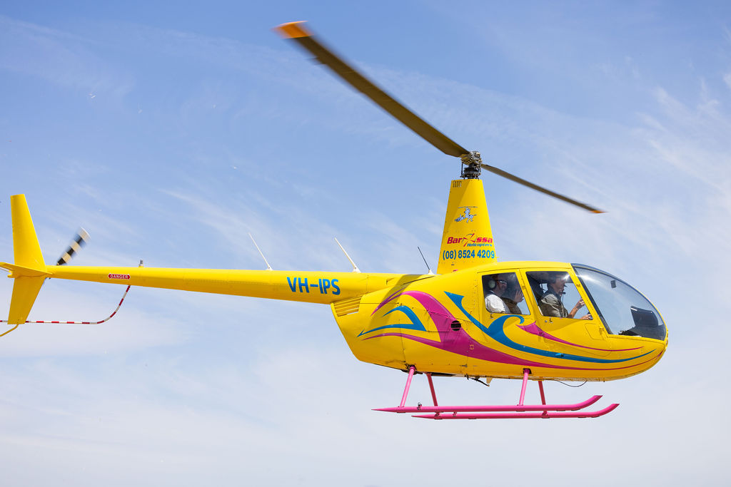 Barossa Helicopters: Couples Romantic Picnic — Barossa Valley - Photo 5
