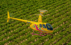 TASTE OF FLIGHT - 4 Minute Scenic Flight