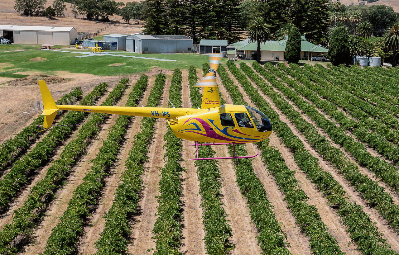 PRIVATE SOUTHERN BAROSSA - 10 Minute Scenic Flight 