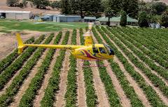 PRIVATE SOUTHERN BAROSSA - 10 Minute Scenic Flight 