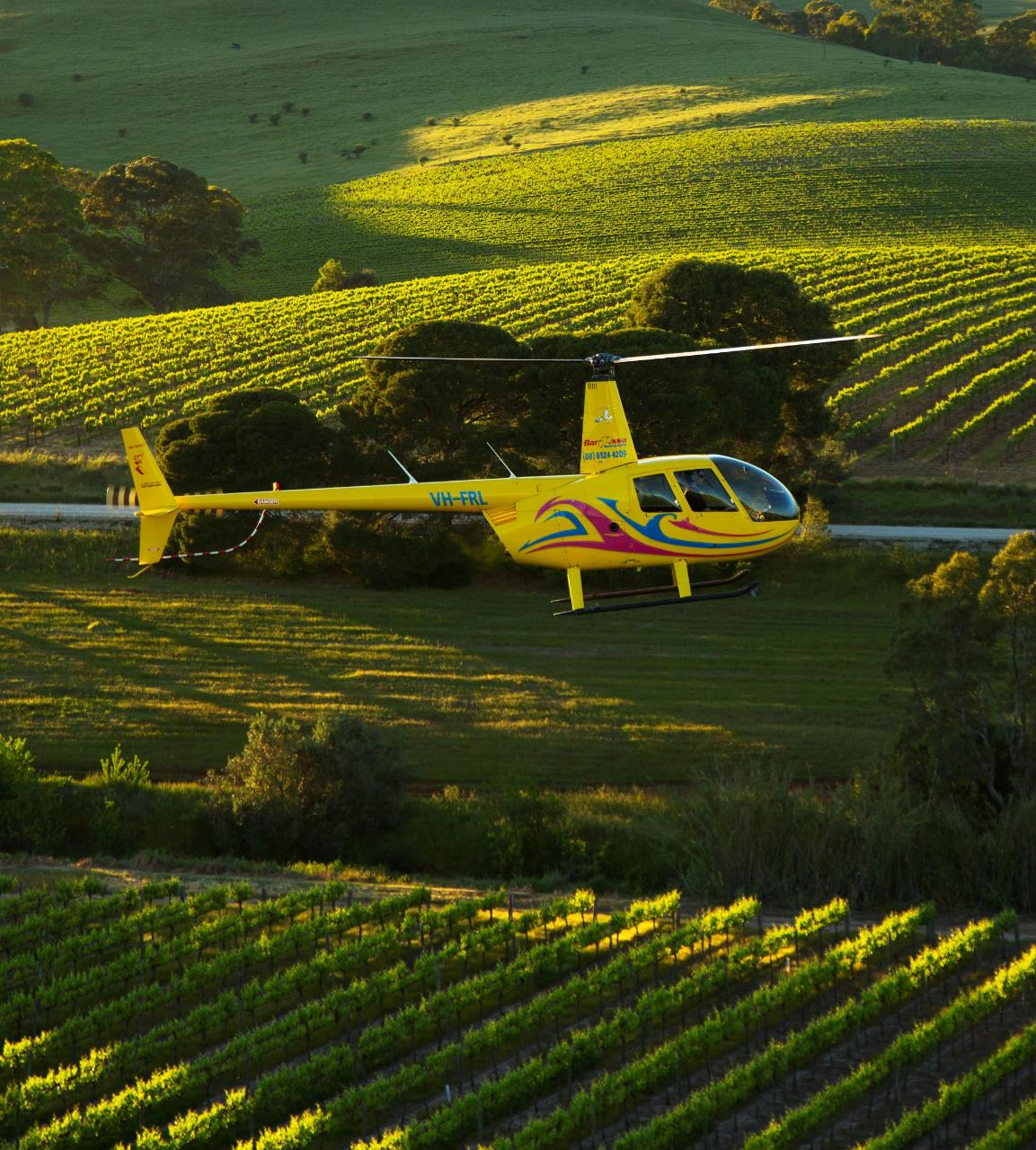 PRIVATE BAROSSA VALLEY DELUXE - 30 Minute Scenic Flight