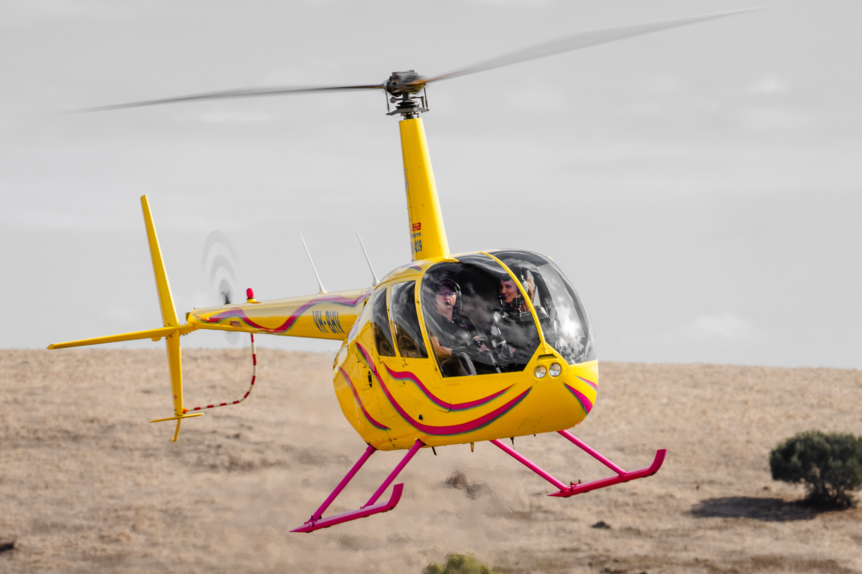 KIES WINES - FOOD & WINE EXPERIENCE