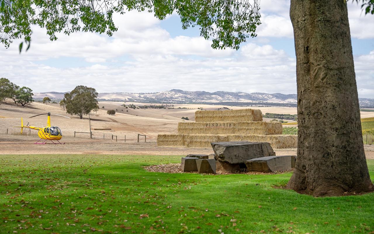 Stunning Wines and Romantic Views at Pindarie Wines