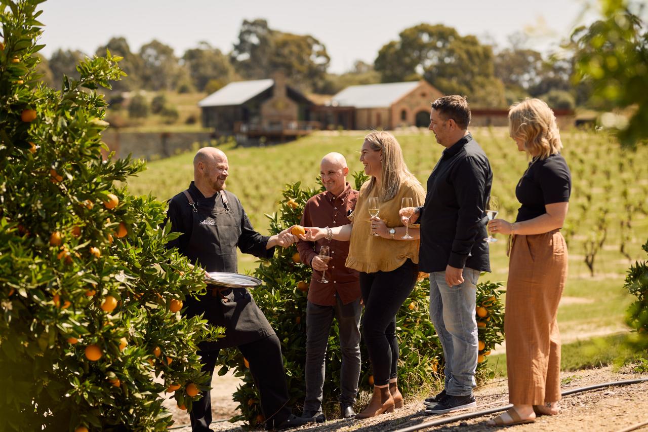 Barossa Helicopters: Premium Tasting and Lunch Experience at St Hugo - Photo 5