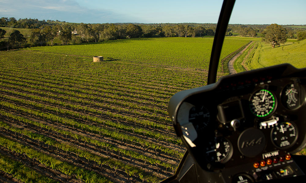 TASTE OF FLIGHT - 4 Minute Scenic Flight