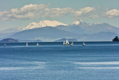Taupo Return Shuttle