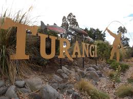 Turangi Return Shuttle linked