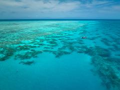 Snorkel and Fly the Great Barrier Reef
