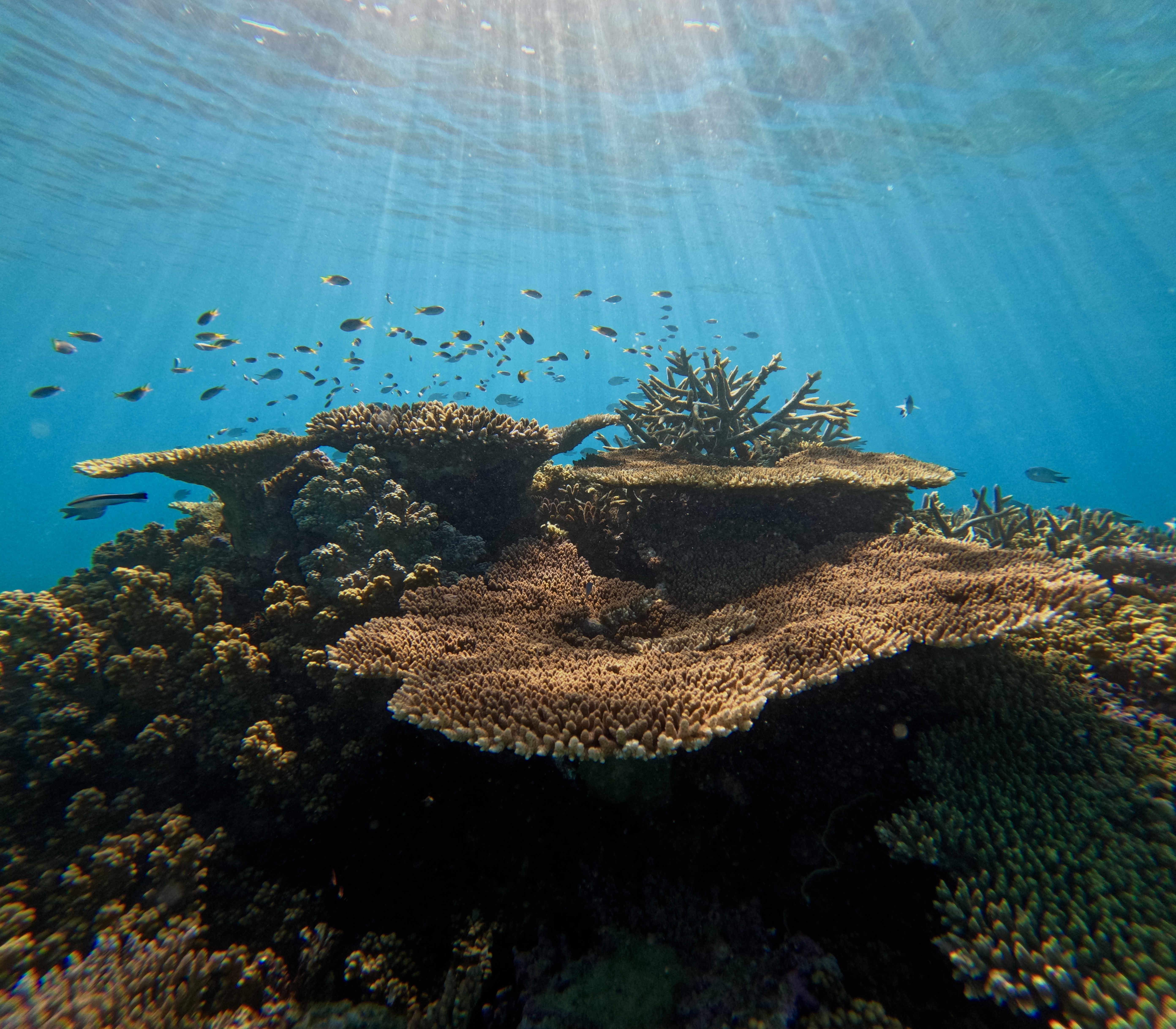 image 18(1).png