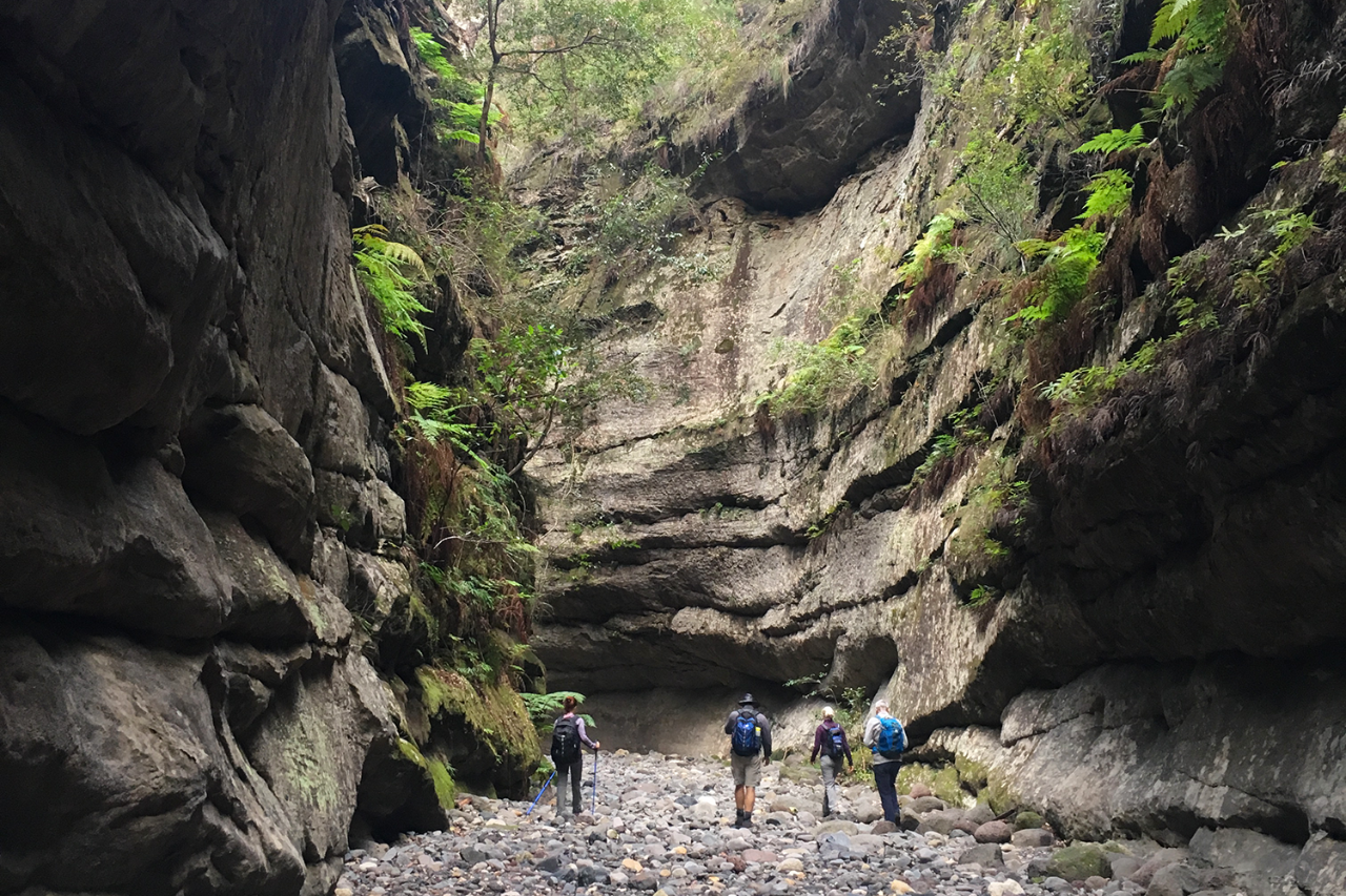 Vip Off The Beaten Track Tour Carnarvon Gorge Eco Tours