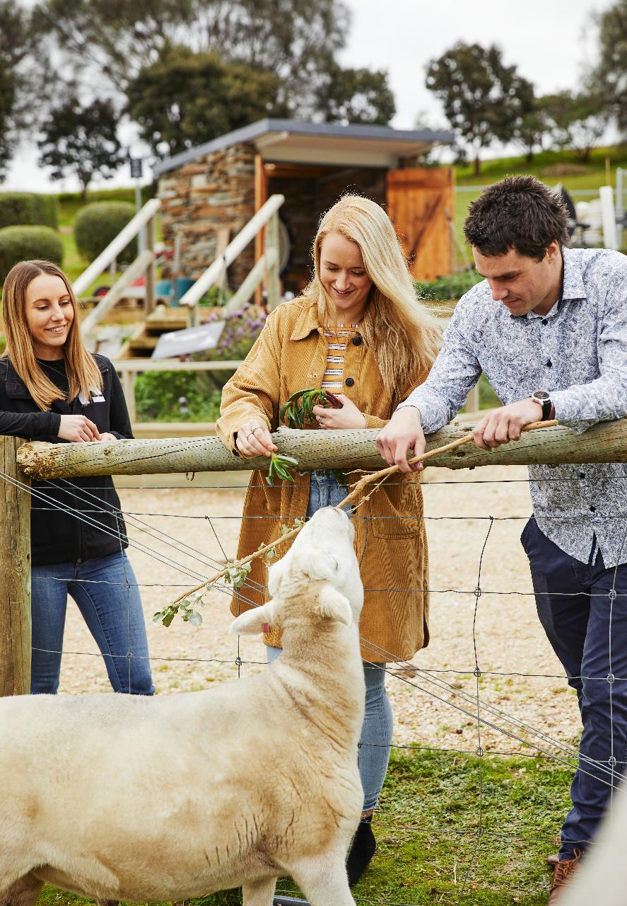 BEING BIODYNAMIC TOUR