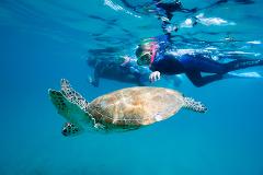 Great Keppel Island Day Trip Including Lunch & Snorkel Hire