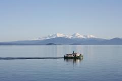 Express Māori Rock Carvings - Early Bird Morning Special - 9am - 1.5 Hours 