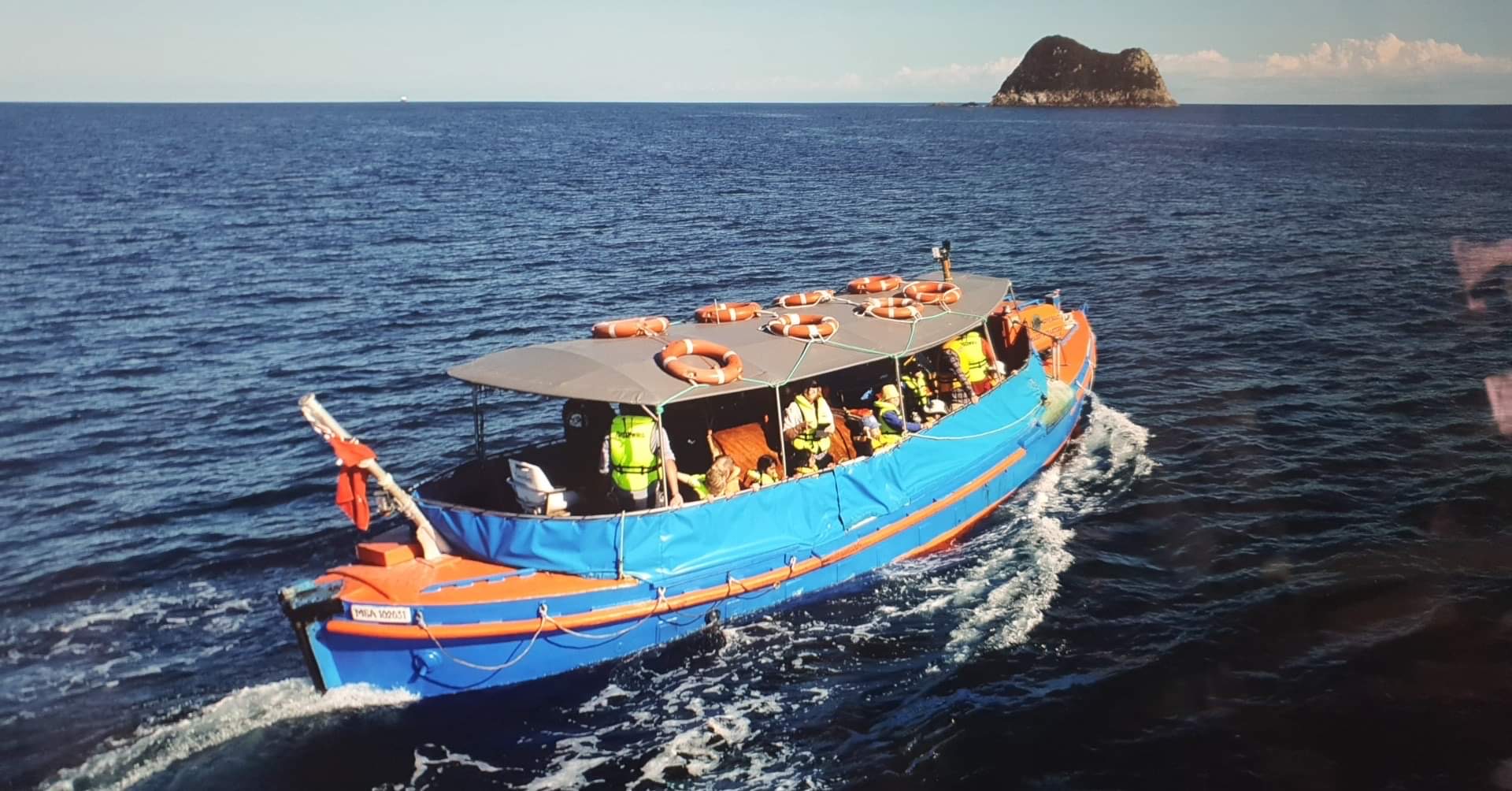 Wildlife Boat Tour Chaddy's Charters Reservations