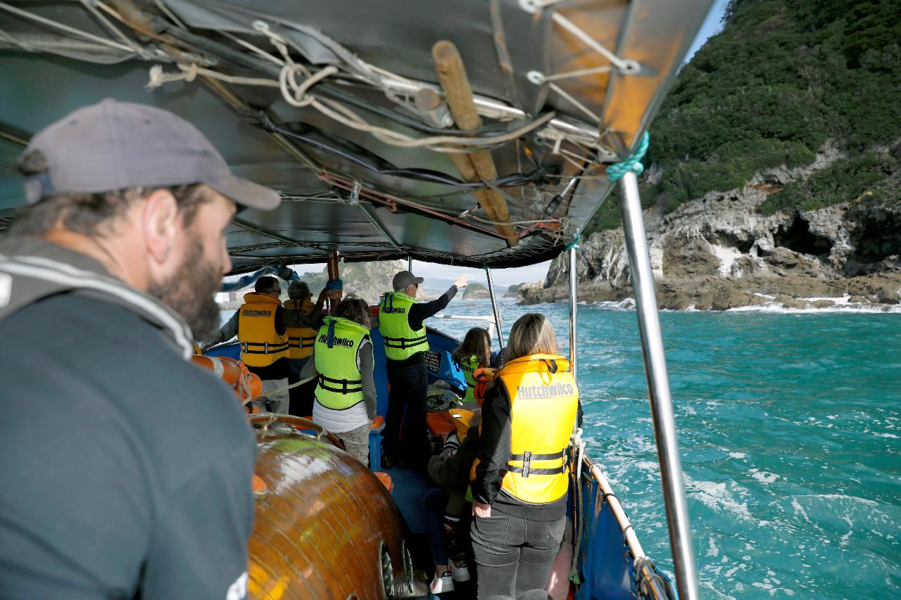 Wildlife Boat Tour Chaddy's Charters Reservations