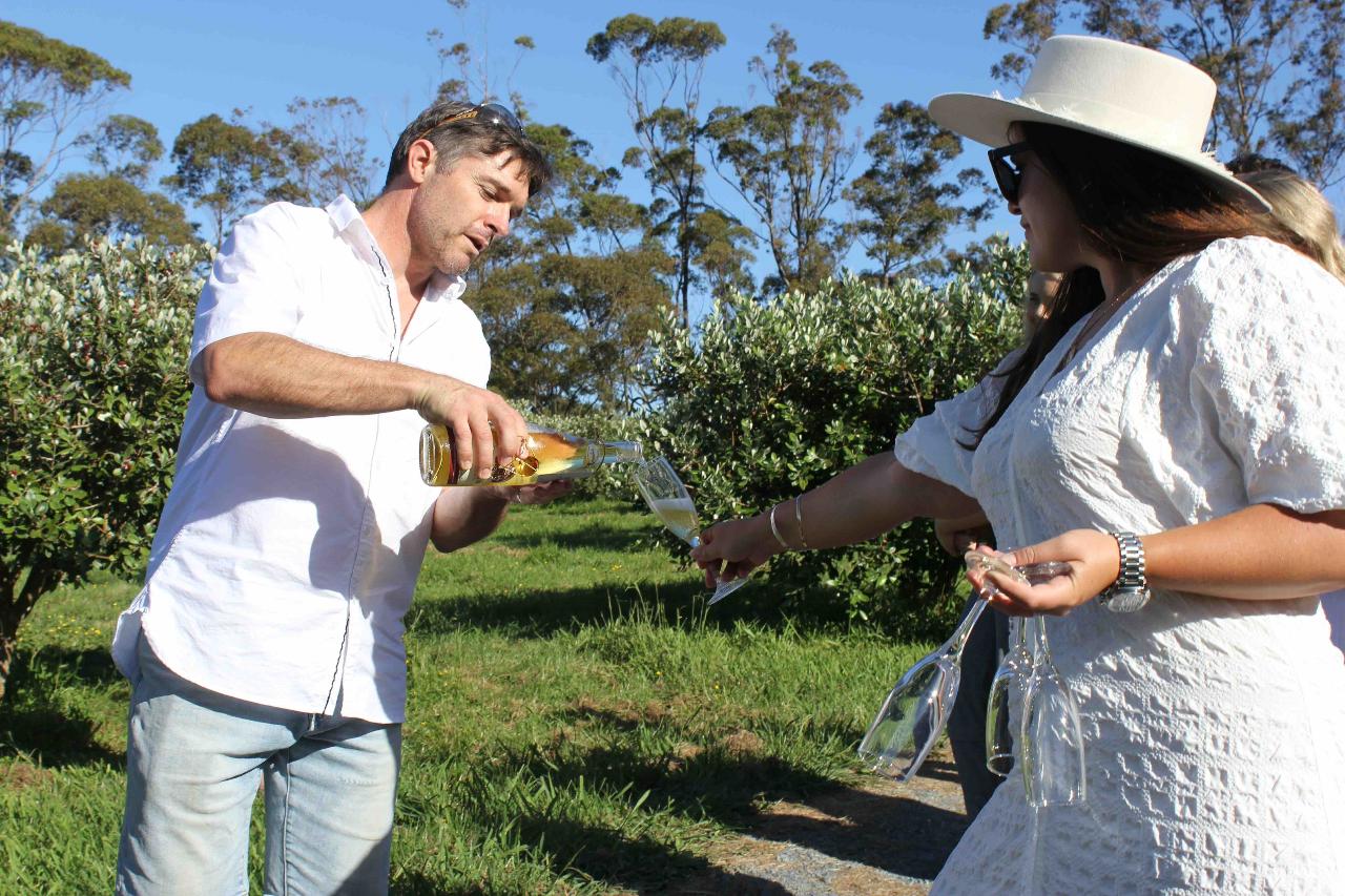 1 Matakana Taste Tour