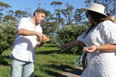 1 Matakana Taste Tour