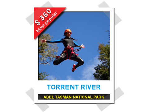 Torrent River