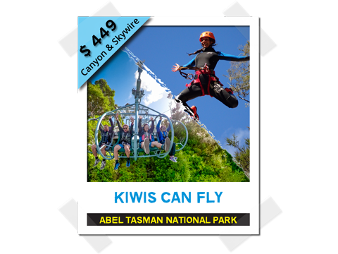 Kiwis CAN fly - Canyon & Skywire