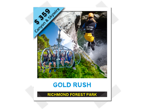 Gold Rush - Canyon & Skywire