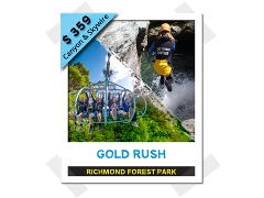 Gold Rush - Canyon & Skywire