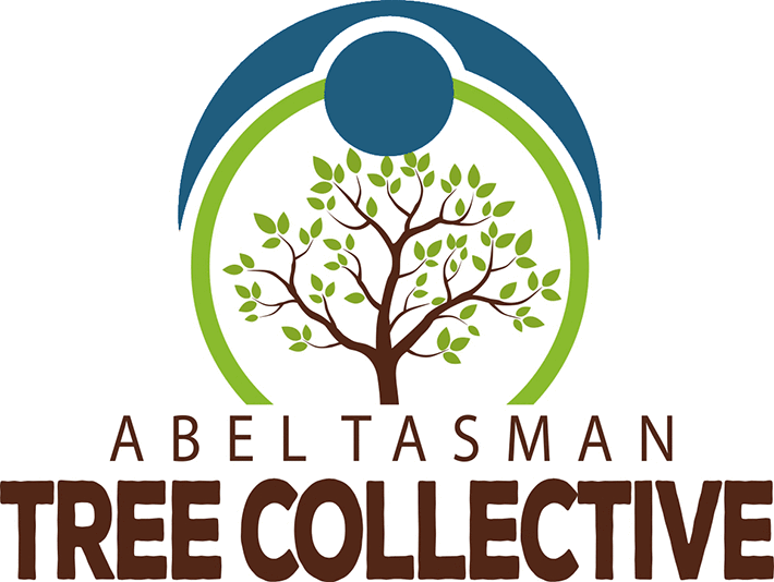 Donation to the Abel Tasman Tree Collective