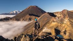 Tongariro Alpine Crossing Guided Walk - SUMMER SPECIAL
