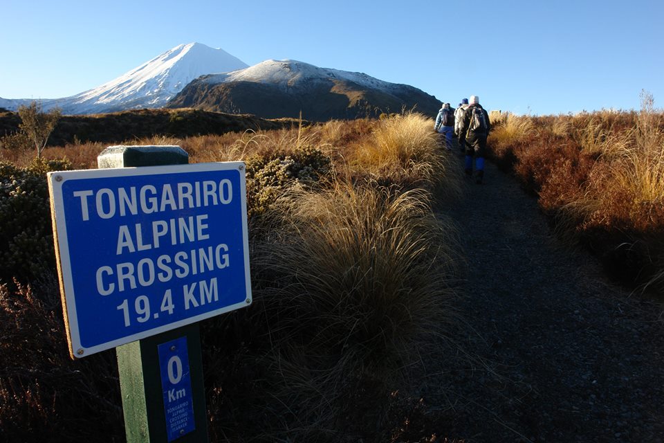 Private Half Day Volcanic Explorer Guided Walk