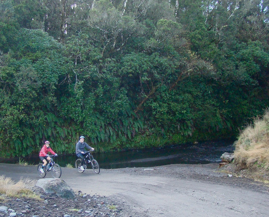 Half road half sales mountain bike