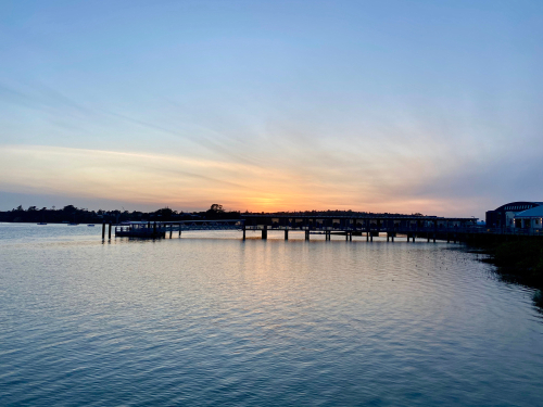 Gift Card - Hobsonville Point Cruise