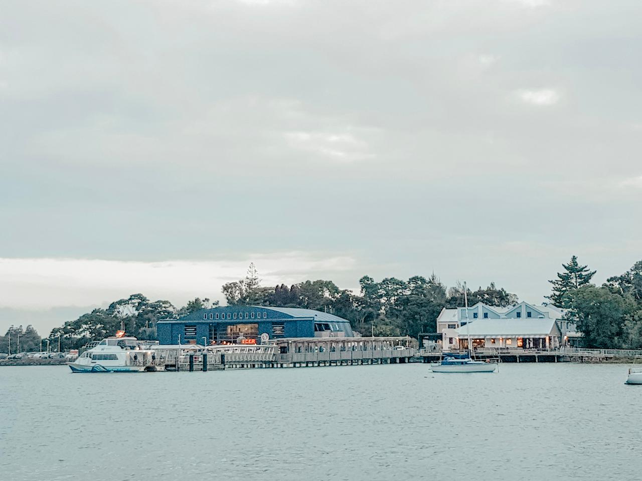 hobsonville point yacht club